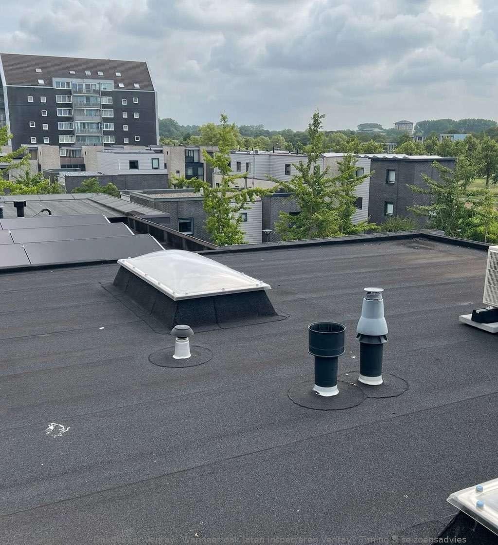 Dak Laten Inspecteren Venray