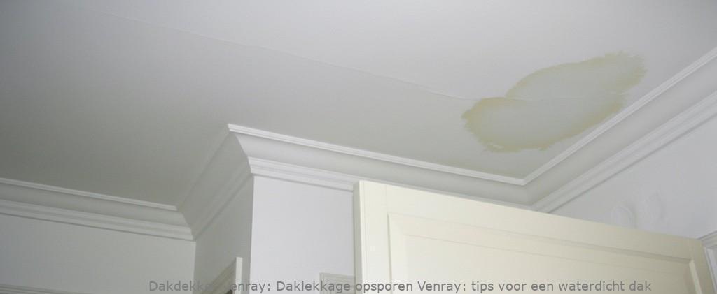 Daklekkage Opsporen Venray 1