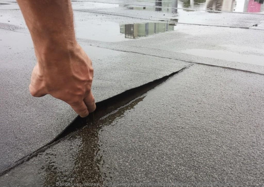 Kosten Repareren Daklekkage Venray